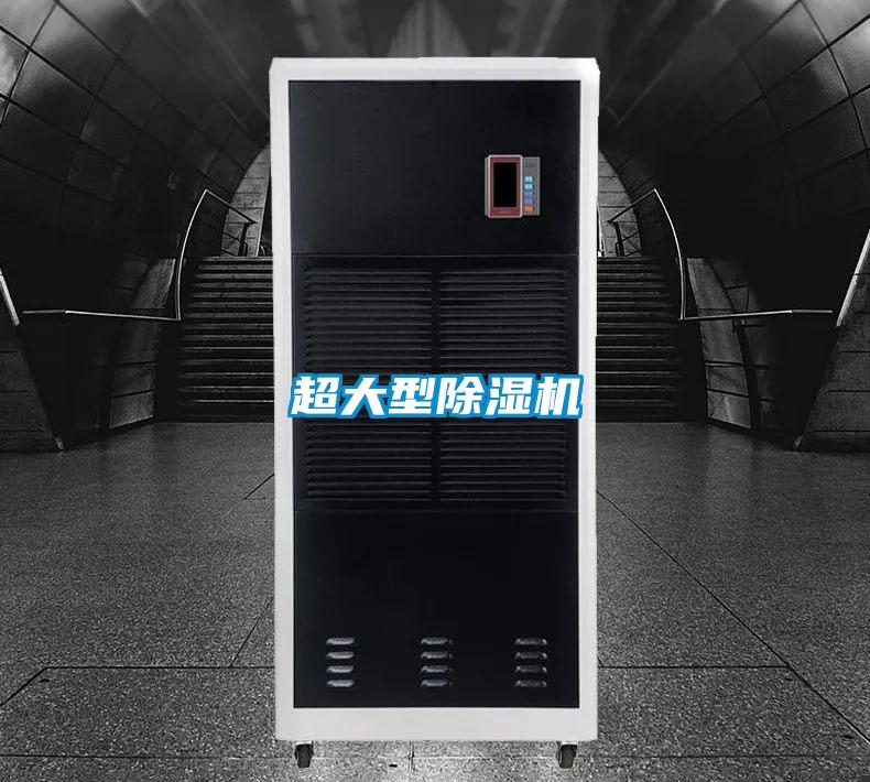 超大型草莓视频APP在线观看