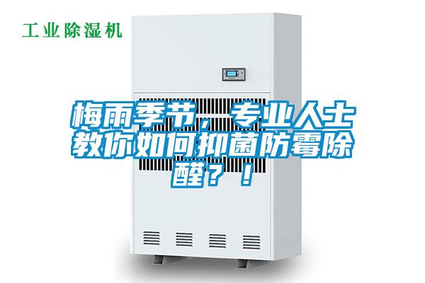 梅雨季节，专业人士教你如何抑菌防霉除醛？！