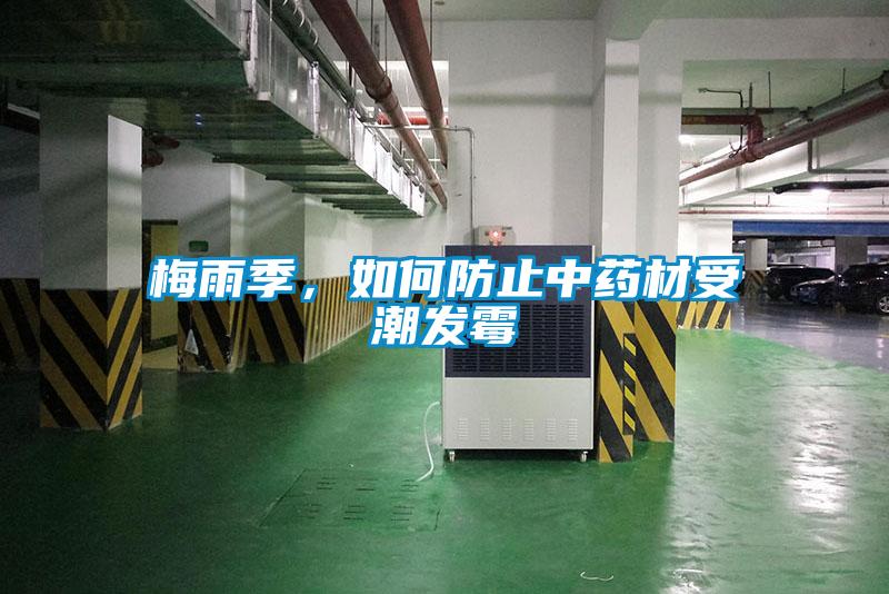 梅雨季，如何防止中药材受潮发霉