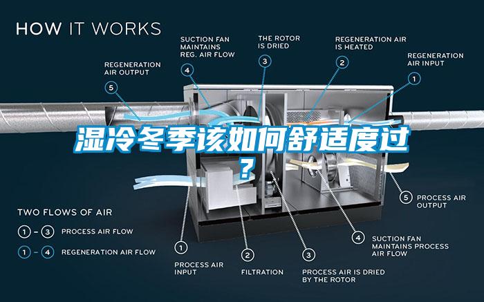 湿冷冬季该如何舒适度过？