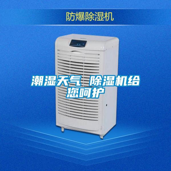 潮湿天气 草莓视频APP在线观看给您呵护