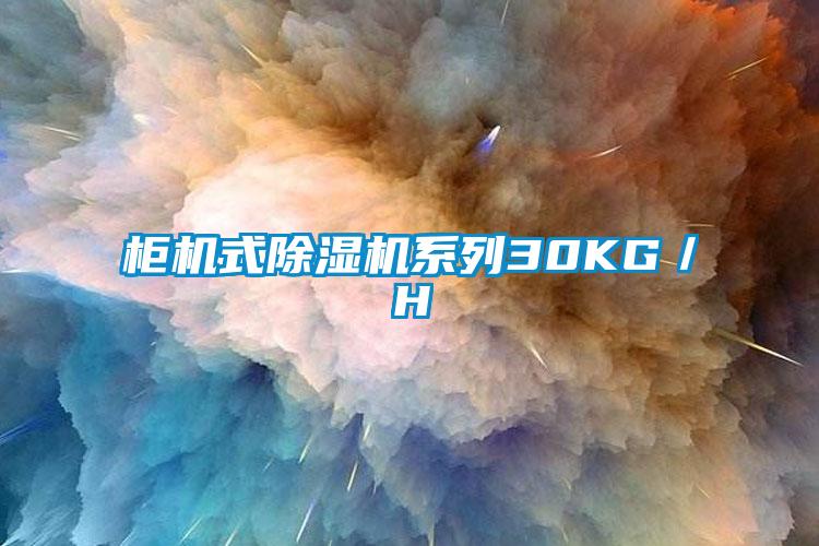 柜机式草莓视频APP在线观看系列30KG／H