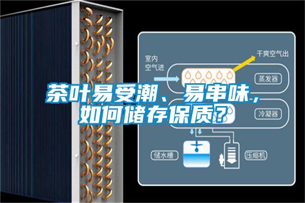 茶叶易受潮、易串味，如何储存保质？