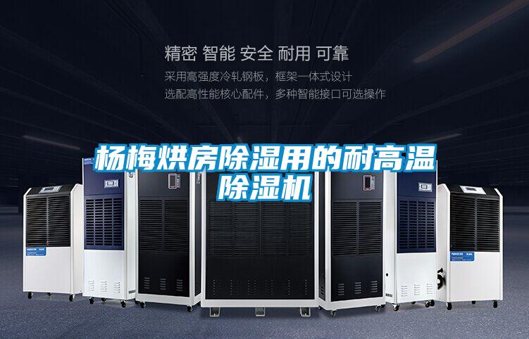 杨梅烘房除湿用的耐高温草莓视频APP在线观看