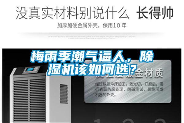 梅雨季潮气逼人，草莓视频APP在线观看该如何选？