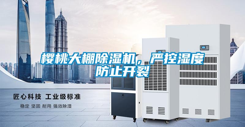 樱桃大棚草莓视频APP在线观看，严控湿度防止开裂