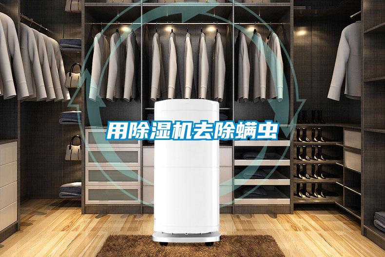 用草莓视频APP在线观看去除螨虫
