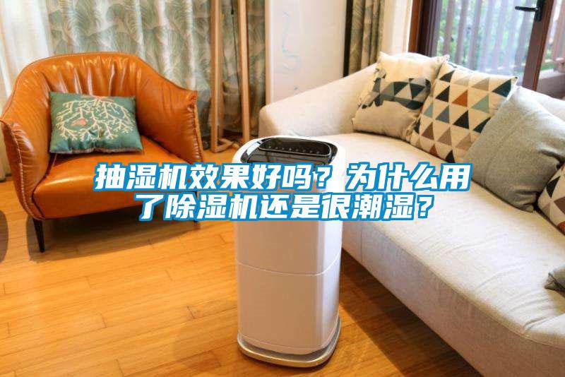 抽湿机效果好吗？为什么用了草莓视频APP在线观看还是很潮湿？
