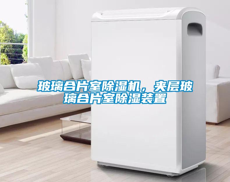 玻璃合片室草莓视频APP在线观看，夹层玻璃合片室除湿装置