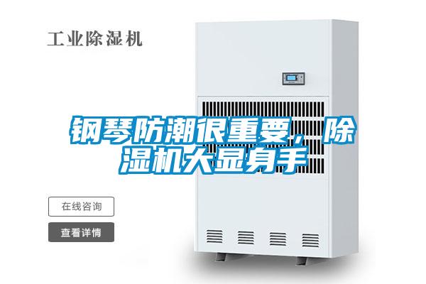 钢琴防潮很重要，草莓视频APP在线观看大显身手