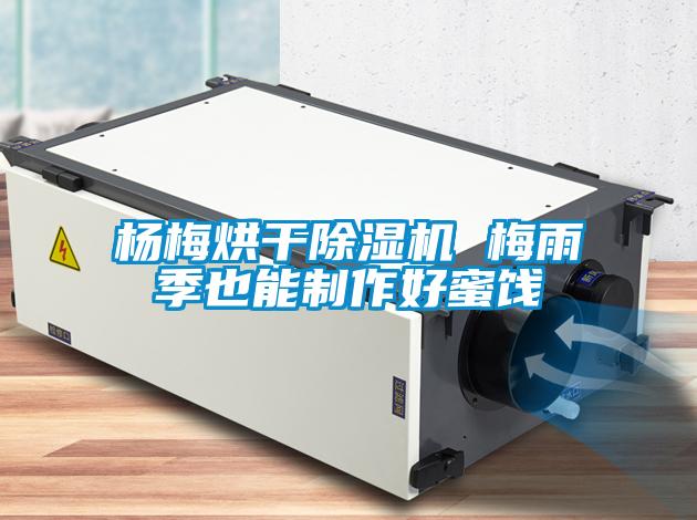 杨梅烘干草莓视频APP在线观看 梅雨季也能制作好蜜饯