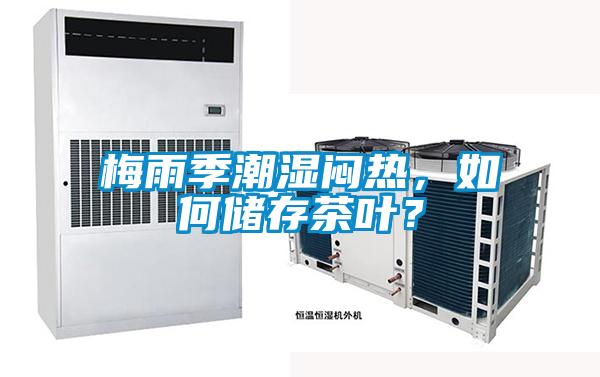 梅雨季潮湿闷热，如何储存茶叶？
