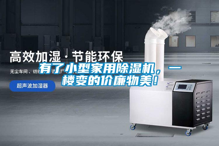 有了小型家用草莓视频APP在线观看，一楼变的价廉物美！