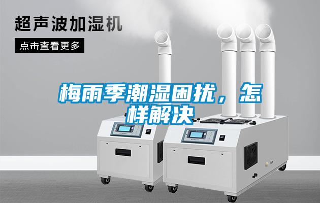 梅雨季潮湿困扰，怎样解决