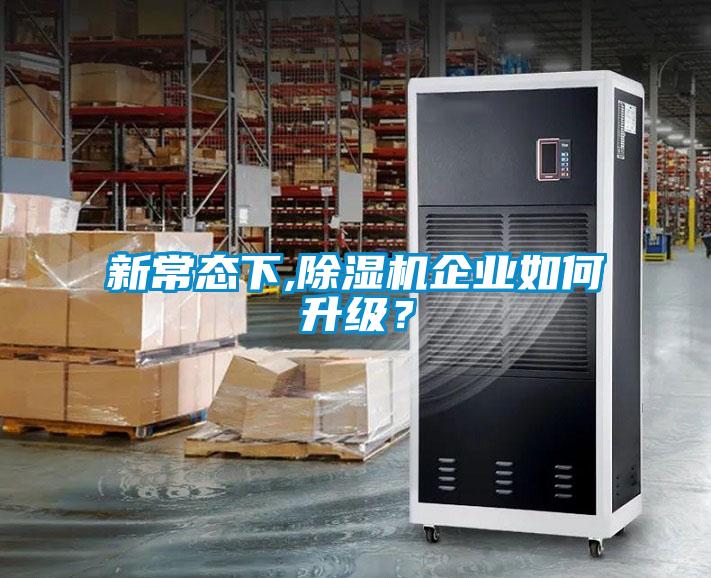 新常态下,草莓视频APP在线观看企业如何升级？