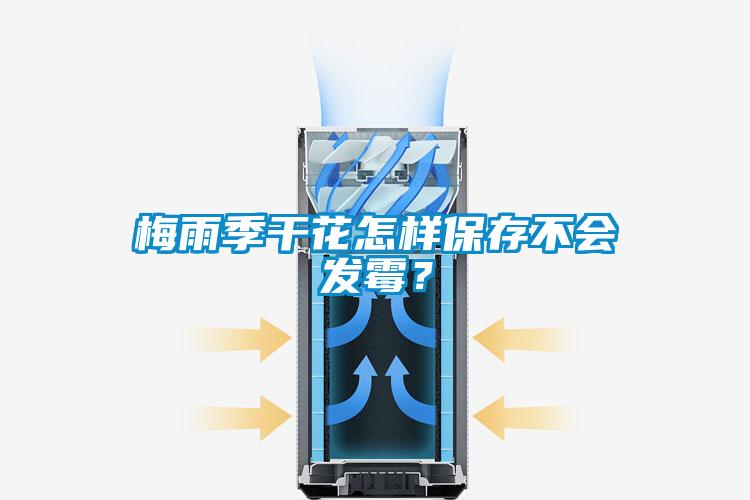 梅雨季干花怎样保存不会发霉？