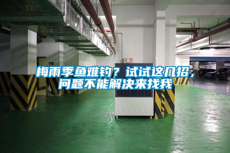 梅雨季鱼难钓？试试这几招，问题不能解决来找我