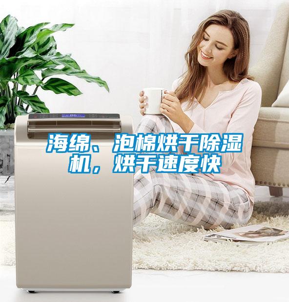 海绵、泡棉烘干草莓视频APP在线观看，烘干速度快