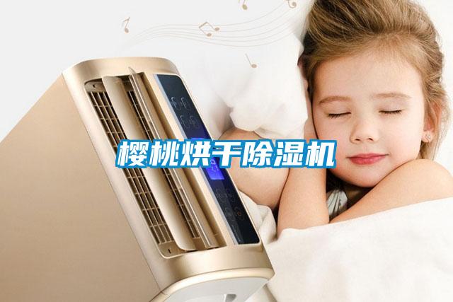樱桃烘干草莓视频APP在线观看