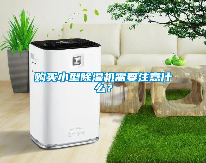 购买小型草莓视频APP在线观看需要注意什么？