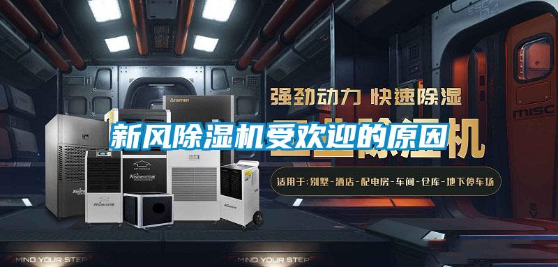 新风草莓视频APP在线观看受欢迎的原因