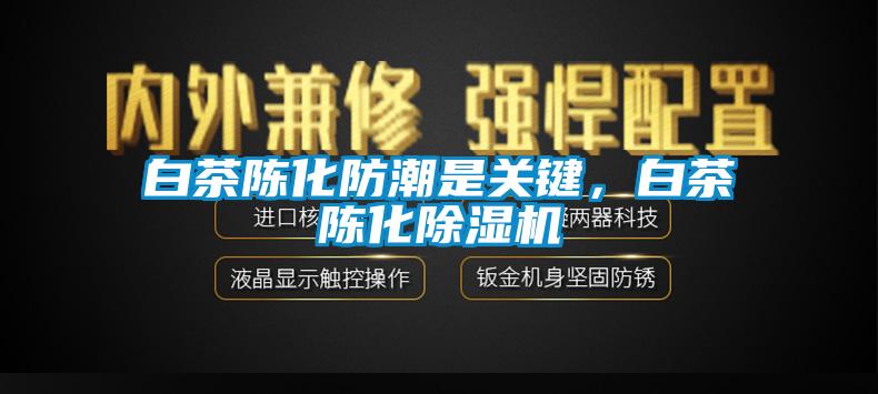 白茶陈化防潮是关键，白茶陈化草莓视频APP在线观看