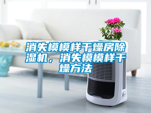 消失模模样干燥房草莓视频APP在线观看，消失模模样干燥方法