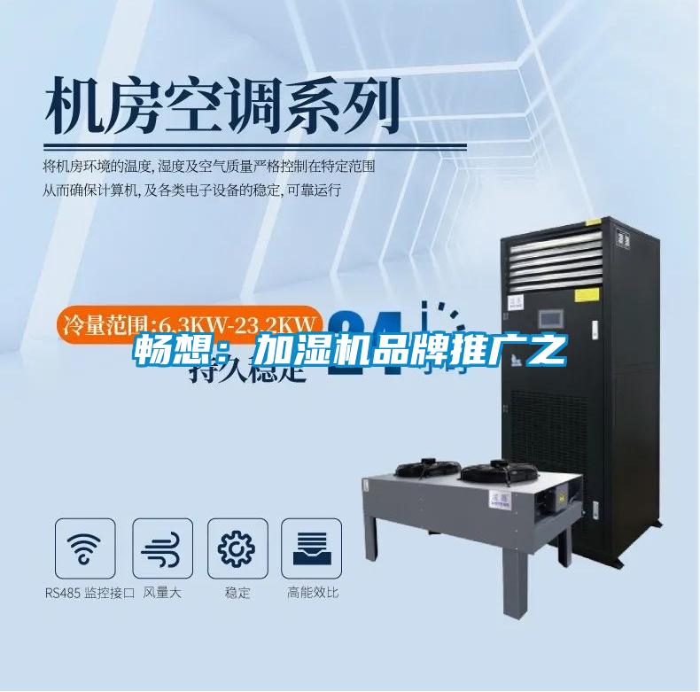 畅想：加湿机品牌推广之