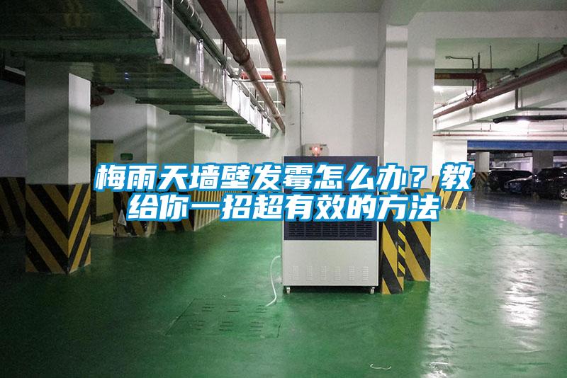梅雨天墙壁发霉怎么办？教给你一招超有效的方法