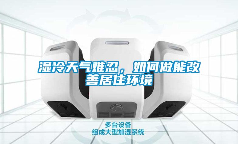 湿冷天气难忍，如何做能改善居住环境