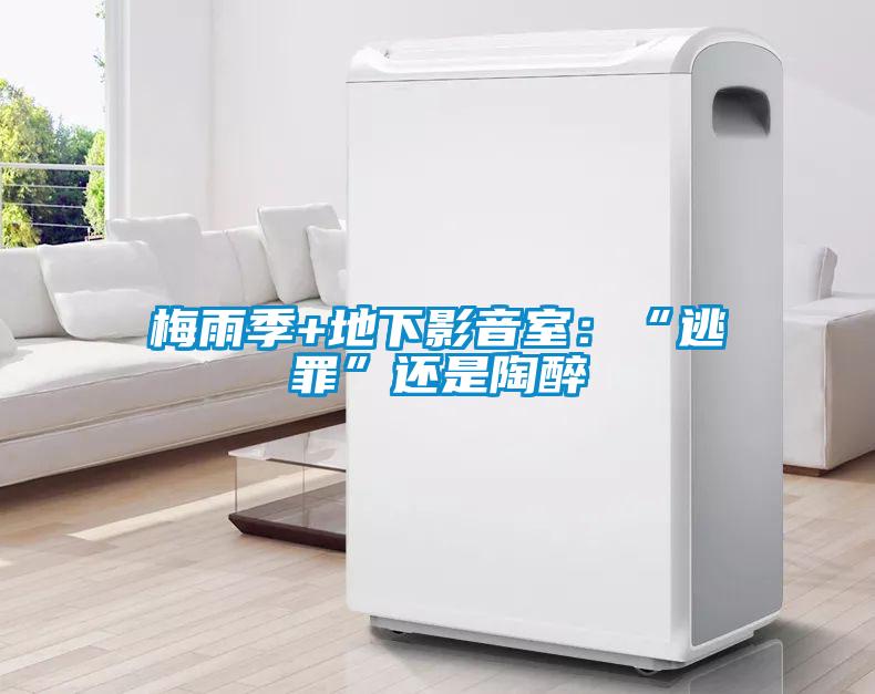 梅雨季+地下影音室：“逃罪”还是陶醉