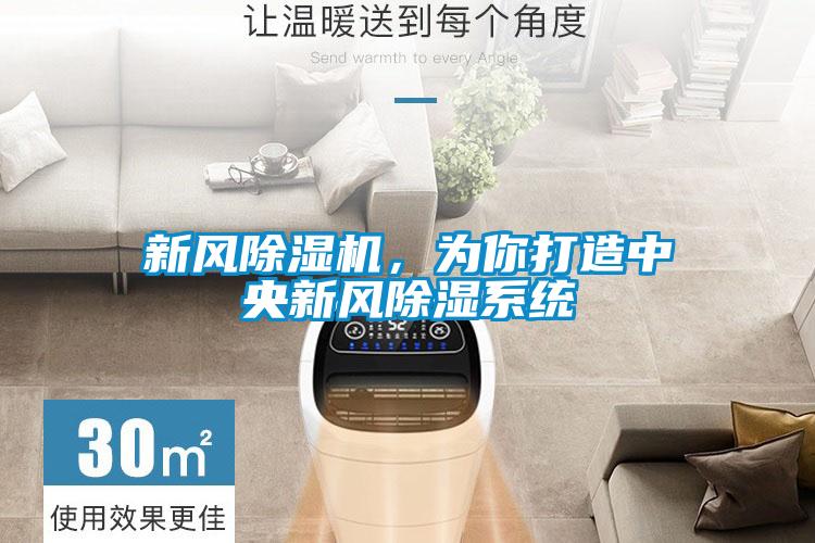 新风草莓视频APP在线观看，为你打造中央新风除湿系统