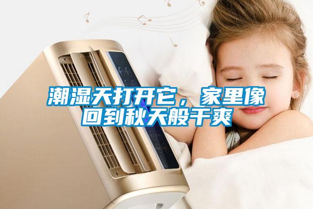 潮湿天打开它，家里像回到秋天般干爽
