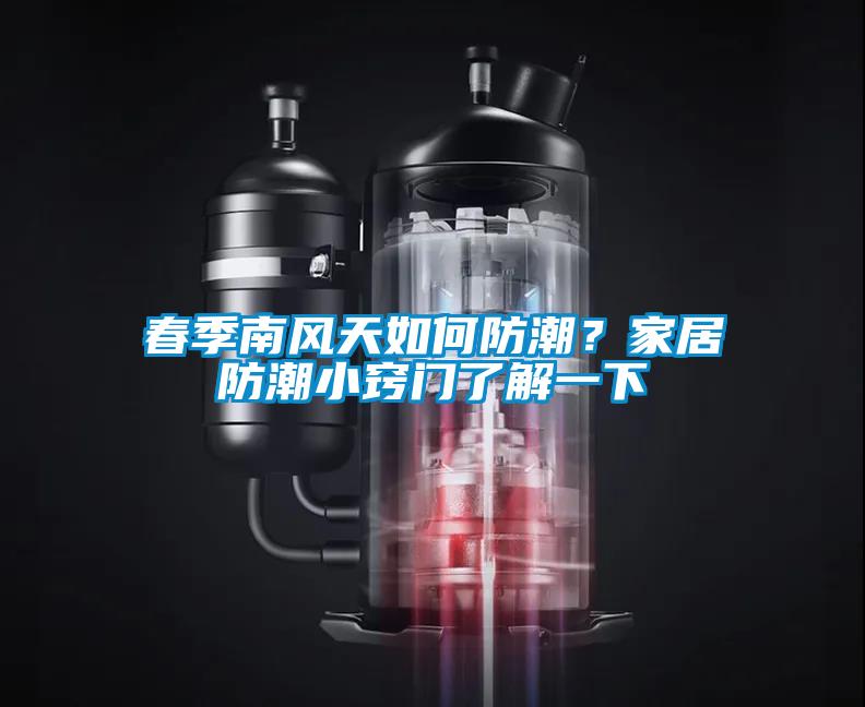 春季南风天如何防潮？家居防潮小窍门了解一下
