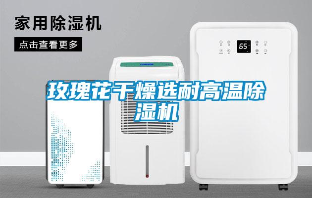 玫瑰花干燥选耐高温草莓视频APP在线观看