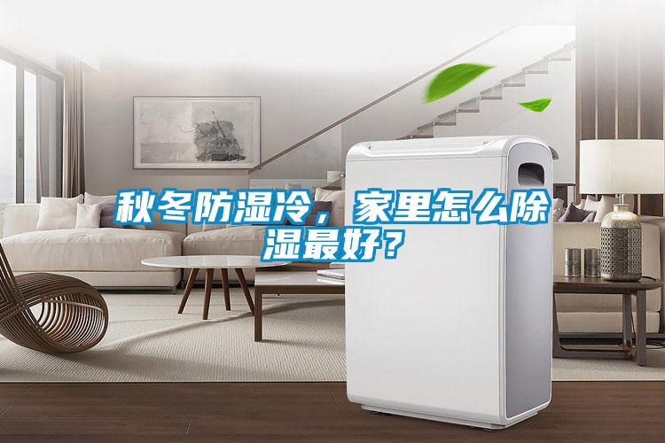 秋冬防湿冷，家里怎么除湿最好？