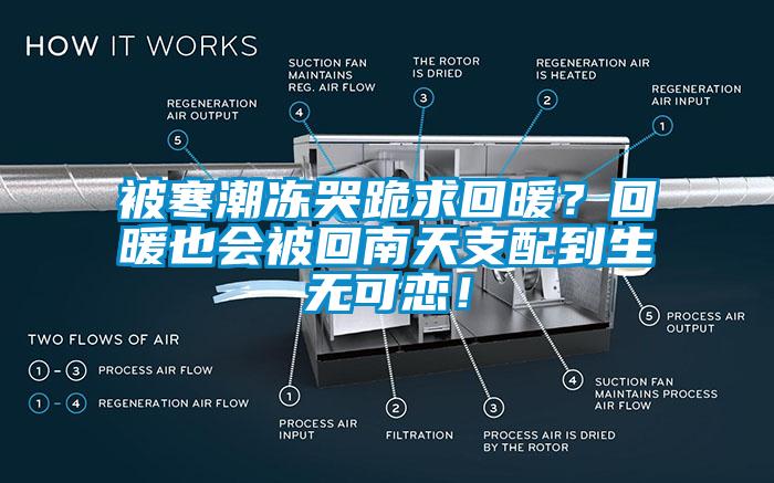 被寒潮冻哭跪求回暖？回暖也会被回南天支配到生无可恋！