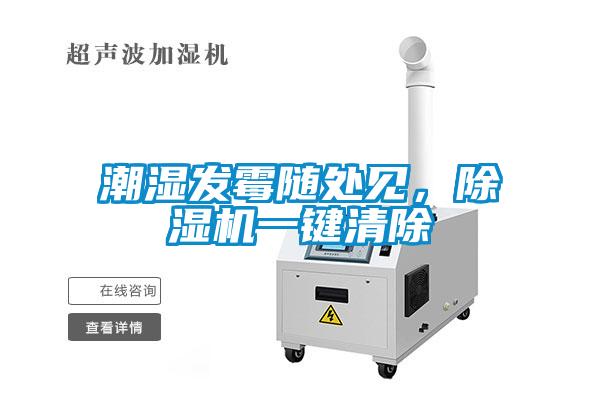 潮湿发霉随处见，草莓视频APP在线观看一键清除