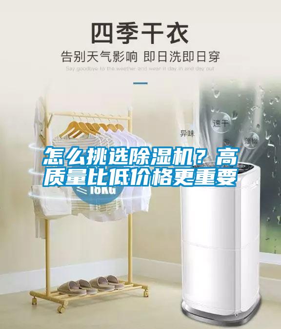 怎么挑选草莓视频APP在线观看？高质量比低价格更重要
