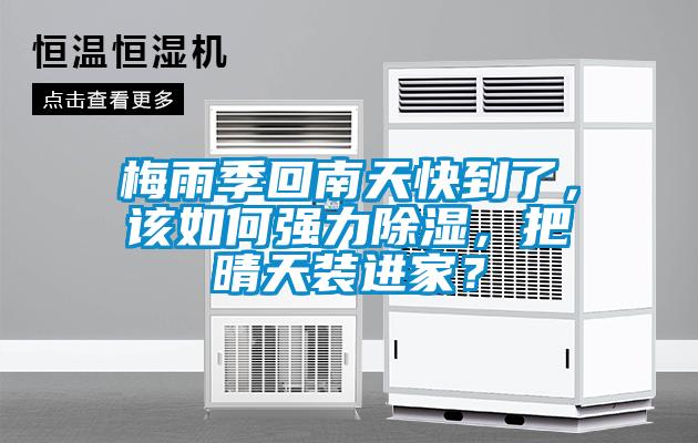 梅雨季回南天快到了，该如何强力除湿，把晴天装进家？