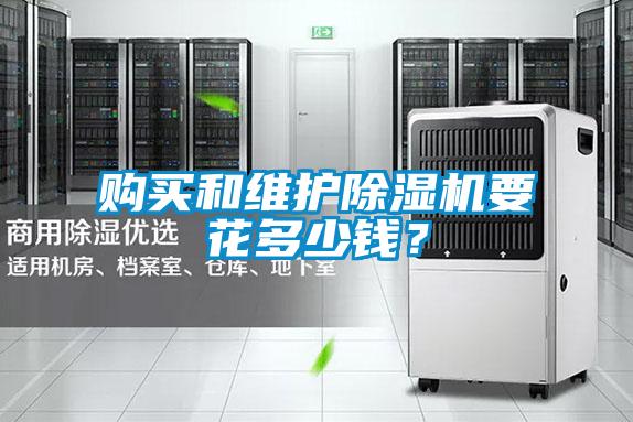 购买和维护草莓视频APP在线观看要花多少钱？