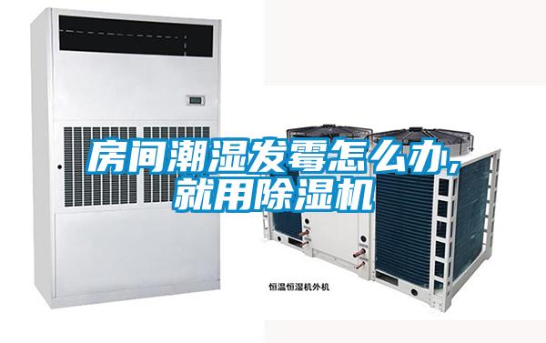 房间潮湿发霉怎么办,就用草莓视频APP在线观看