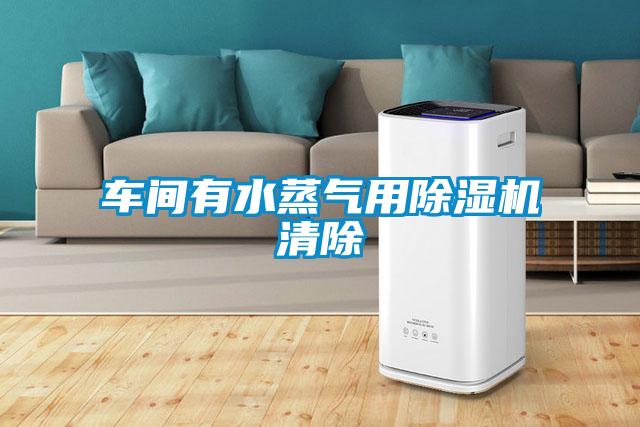 车间有水蒸气用草莓视频APP在线观看清除
