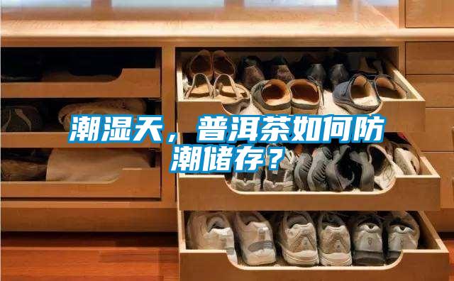 潮湿天，普洱茶如何防潮储存？