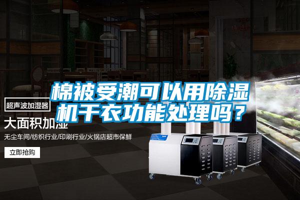 棉被受潮可以用草莓视频APP在线观看干衣功能处理吗？
