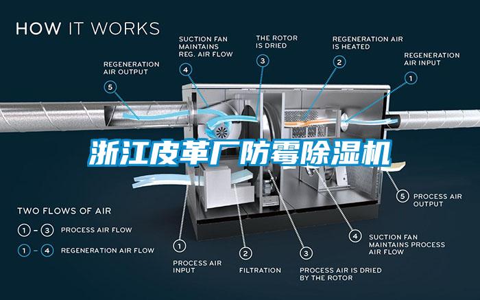 浙江皮革厂防霉草莓视频APP在线观看