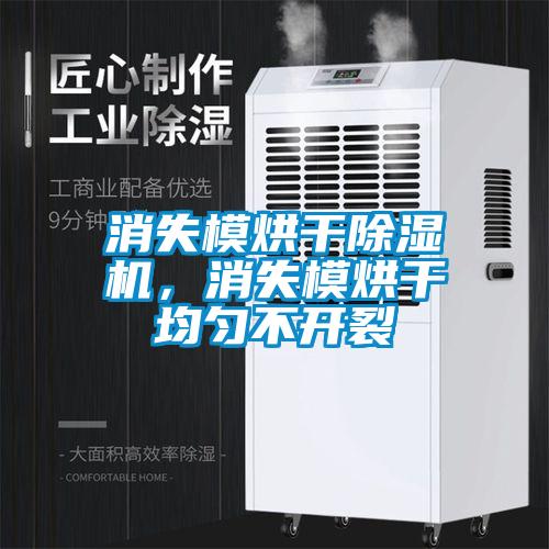 消失模烘干草莓视频APP在线观看，消失模烘干均匀不开裂