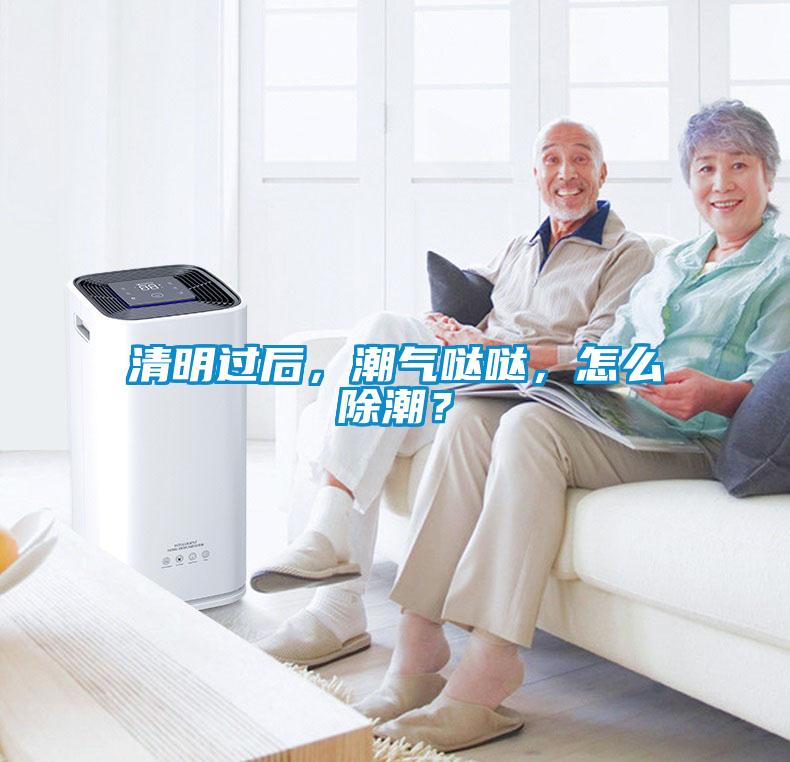清明过后，潮气哒哒，怎么除潮？