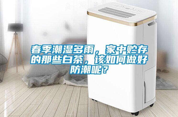 春季潮湿多雨，家中贮存的那些白茶，该如何做好防潮呢？