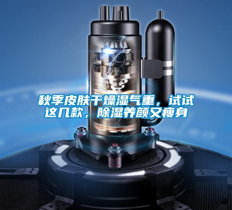 秋季皮肤干燥湿气重，试试这几款，除湿养颜又瘦身